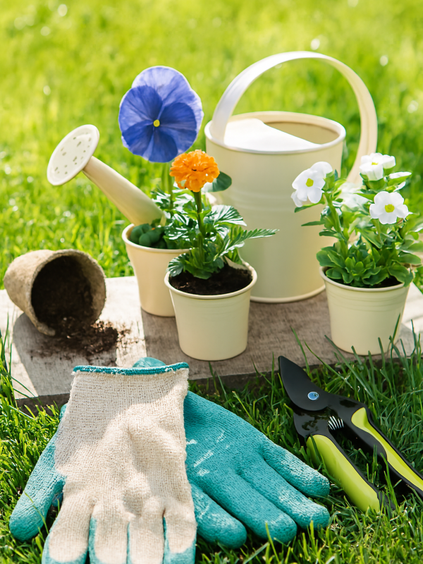 Copilot_20251119_210910 (2) Copilot_20251119_210910 (2)